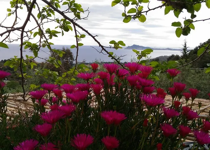 Da Vincenza * Санта-Мария-Наварезе