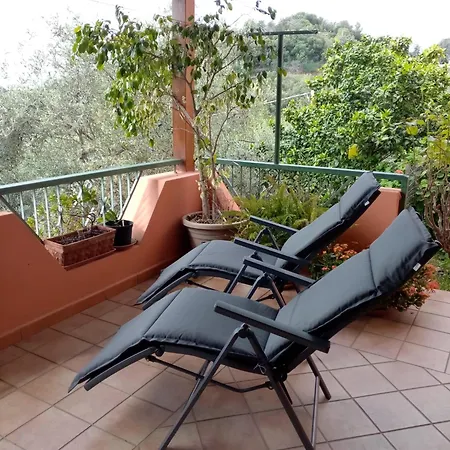 Apartment Da Vincenza *