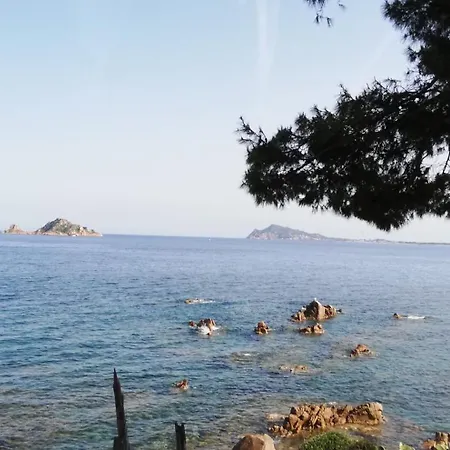 Da Vincenza 산타마리아나바레제