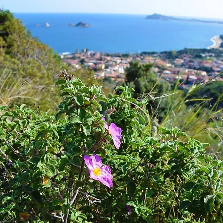 Apartment Da Vincenza